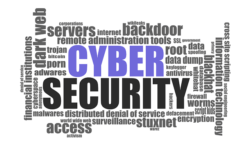 Top 5 Cyber Actions To Protect Your Business